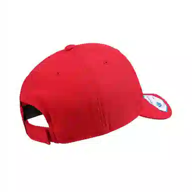 FLEXFIT 110 Series Cap