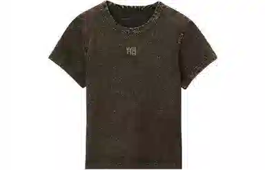 alexander wang LogoT