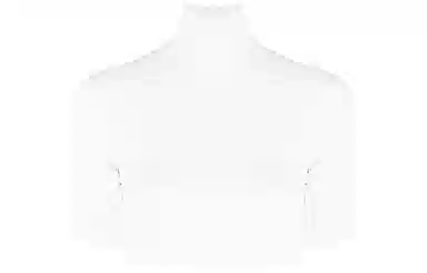 alexander wang FW22 T