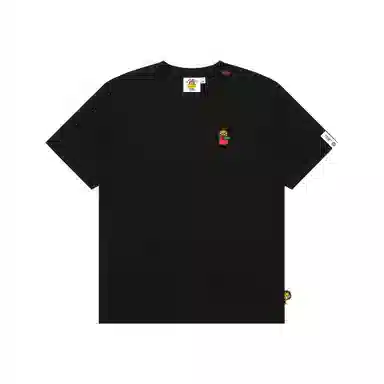 Aape T