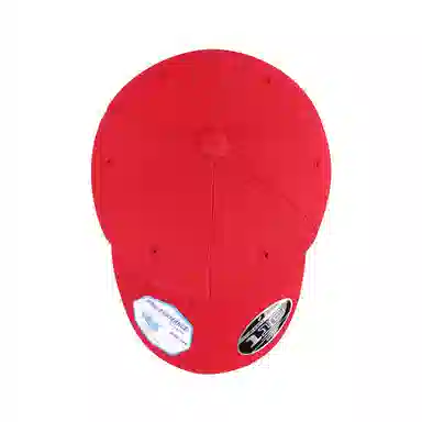 FLEXFIT 110 Series Cap