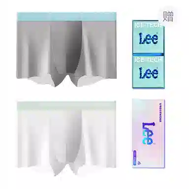 Lee 101 10A 2