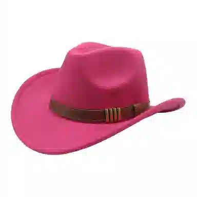 木林森 西部牛仔复古简约皮带佩饰宽帽檐遮阳户外出行显脸小盆帽防晒百搭 毛呢 渔夫帽 男女同款情侣款