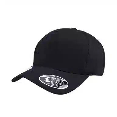 FLEXFIT 110 Series Cap