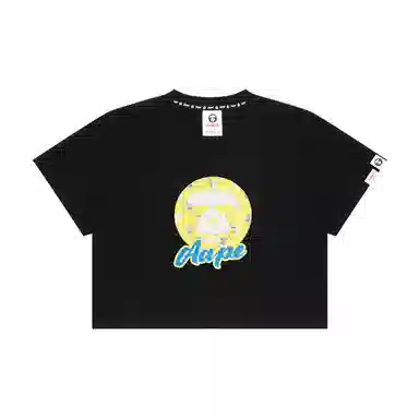 Aape T
