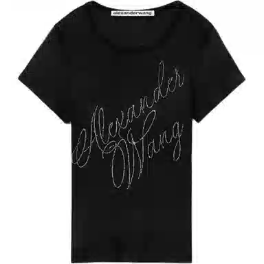 alexander wang FW24 T