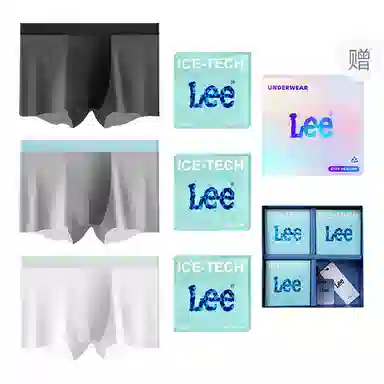 Lee 101 10A 3