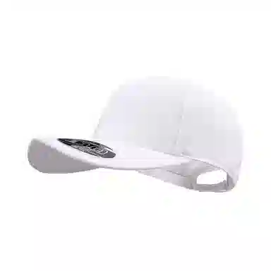 FLEXFIT 110 Series Cap