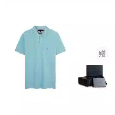 Tommy Hilfiger Polo