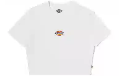 Dickies logoT
