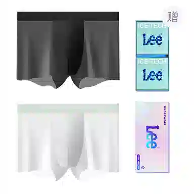 Lee 101 10A 2