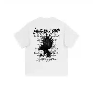 Lightning X Storm T