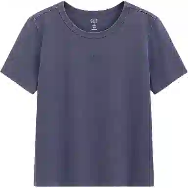 GAP logo T