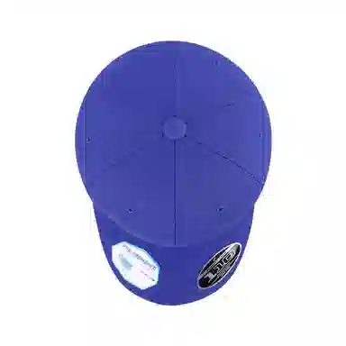 FLEXFIT 110 Series Cap