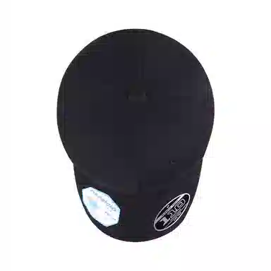 FLEXFIT 110 Series Cap