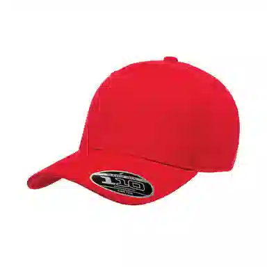 FLEXFIT 110 Series Cap