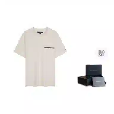 Tommy Hilfiger T
