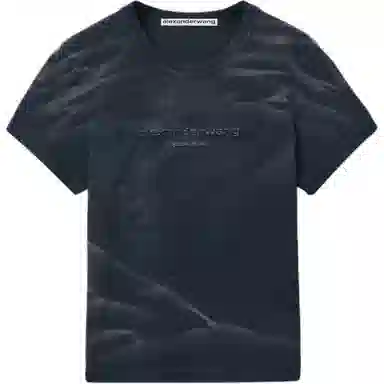 alexander wang FW24T