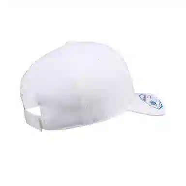 FLEXFIT 110 Series Cap