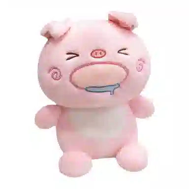 16cm30cm