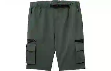 Carhartt WIP Shorts Green