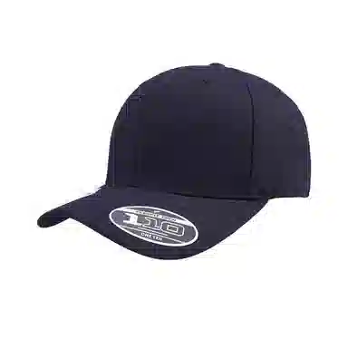 FLEXFIT 110 Series Cap