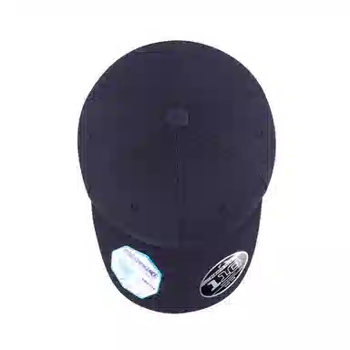 FLEXFIT 110 Series Cap