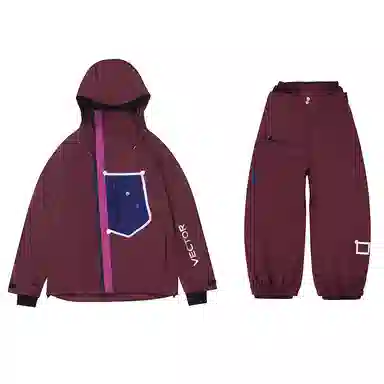 VECTOR Snowpark