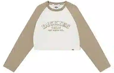Dickies FW23 T