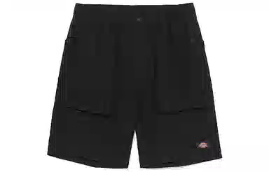 Dickies SS22