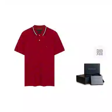 Tommy Hilfiger Polo