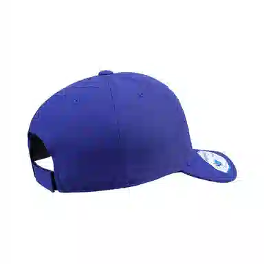 FLEXFIT 110 Series Cap
