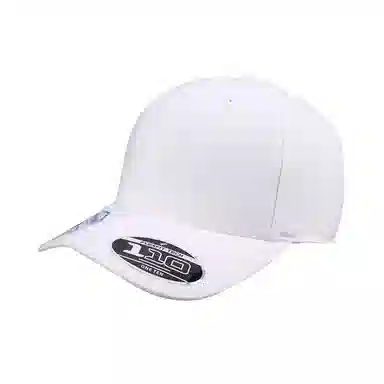 FLEXFIT 110 Series Cap
