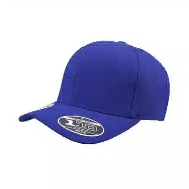 FLEXFIT 110 Series Cap