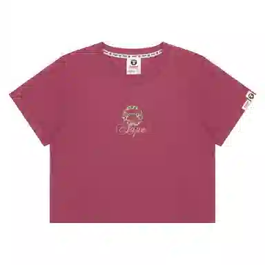 Aape T