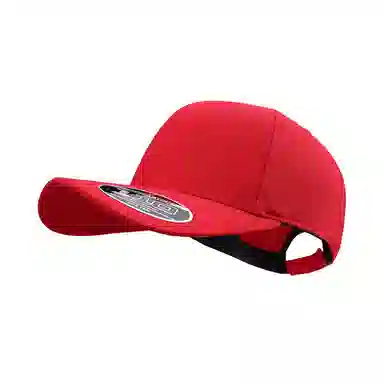 FLEXFIT 110 Series Cap