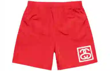 Stussy 2023 Logo