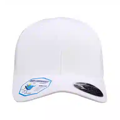 FLEXFIT 110 Series Cap