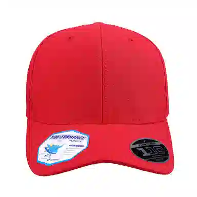 FLEXFIT 110 Series Cap