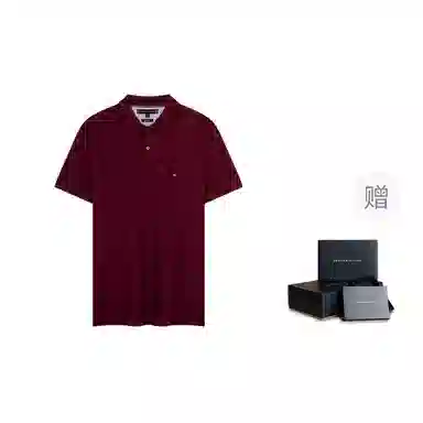 Tommy Hilfiger Polo