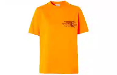 Burberry T