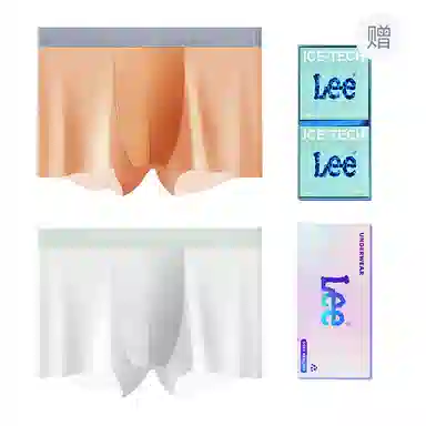 Lee 101 10A 2