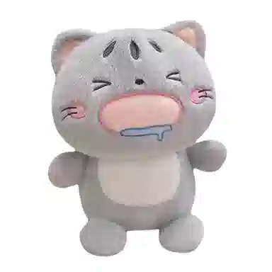 16cm30cm