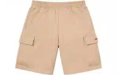 Supreme Small Box Baggy Cargo Sweatshort