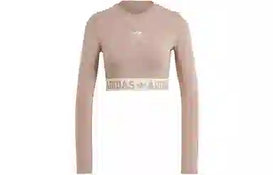 adidas originals Neutral Court Graphic Tee LogoT