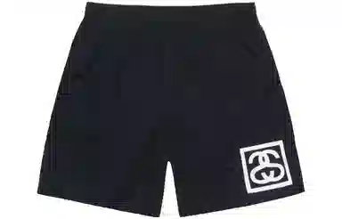 Stussy 2023 Logo