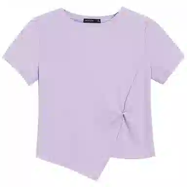WESTLINK T