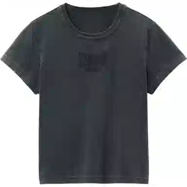alexander wang Logo T