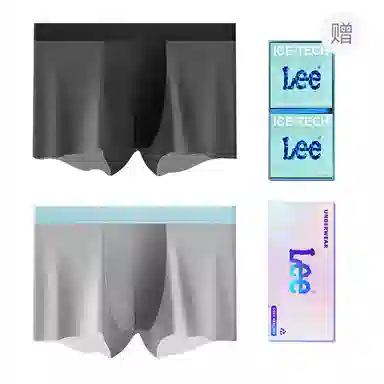 Lee 101 10A 2