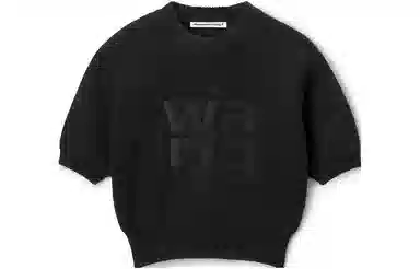 alexander wang T